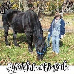 Meet your Posher, Tracy